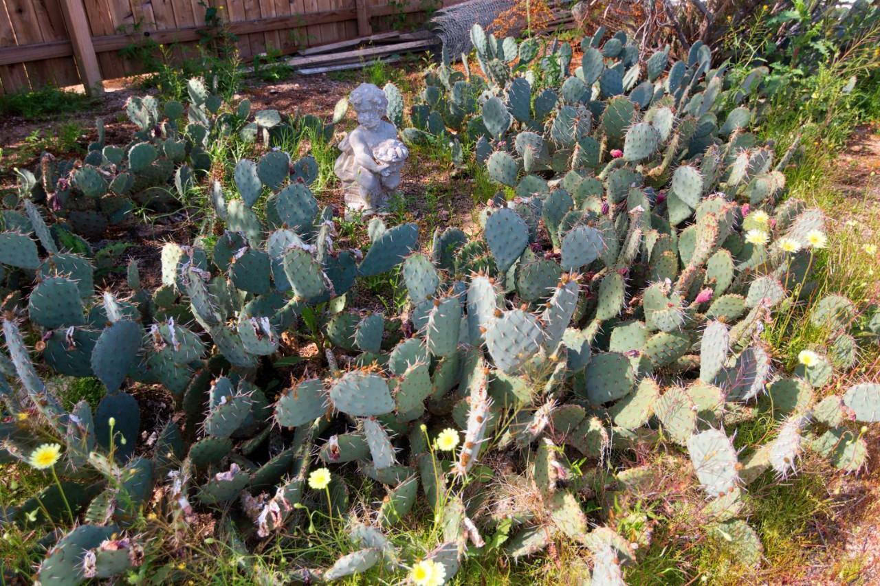 Cactus Adobe Villa Туентинайн Палмс Екстериор снимка